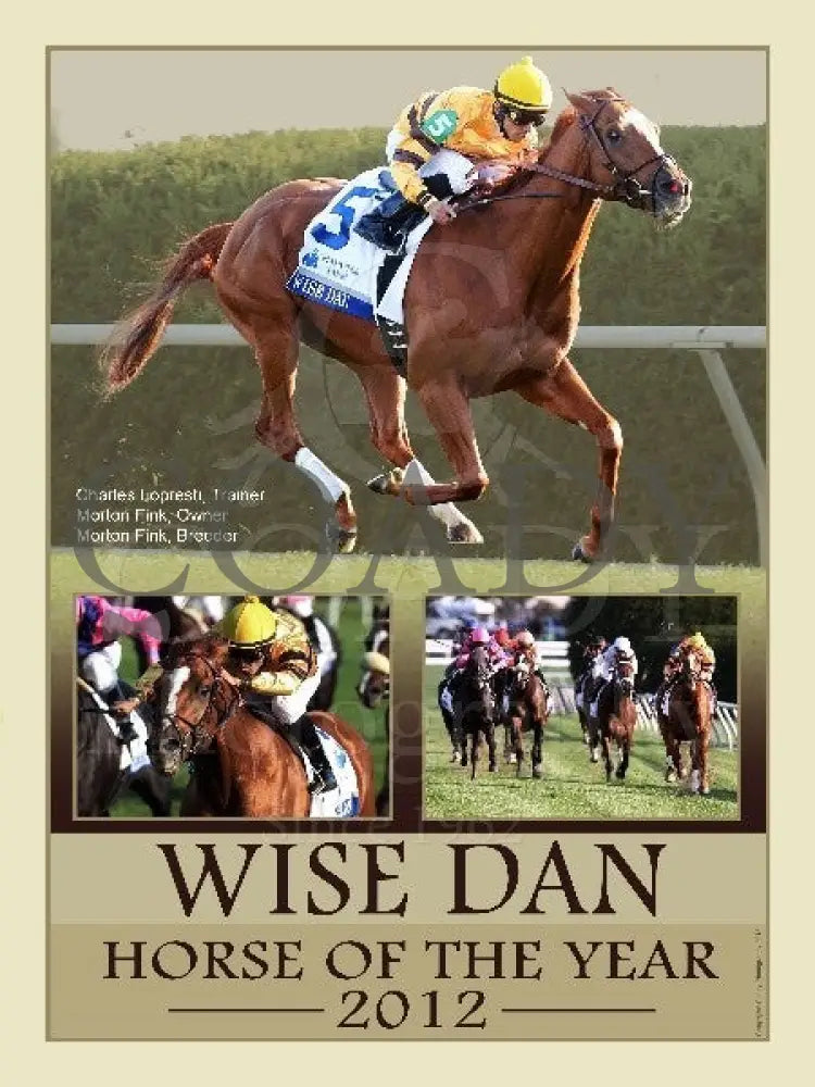 2012 Horse Of The Year - Wise Dan 18X24 Print