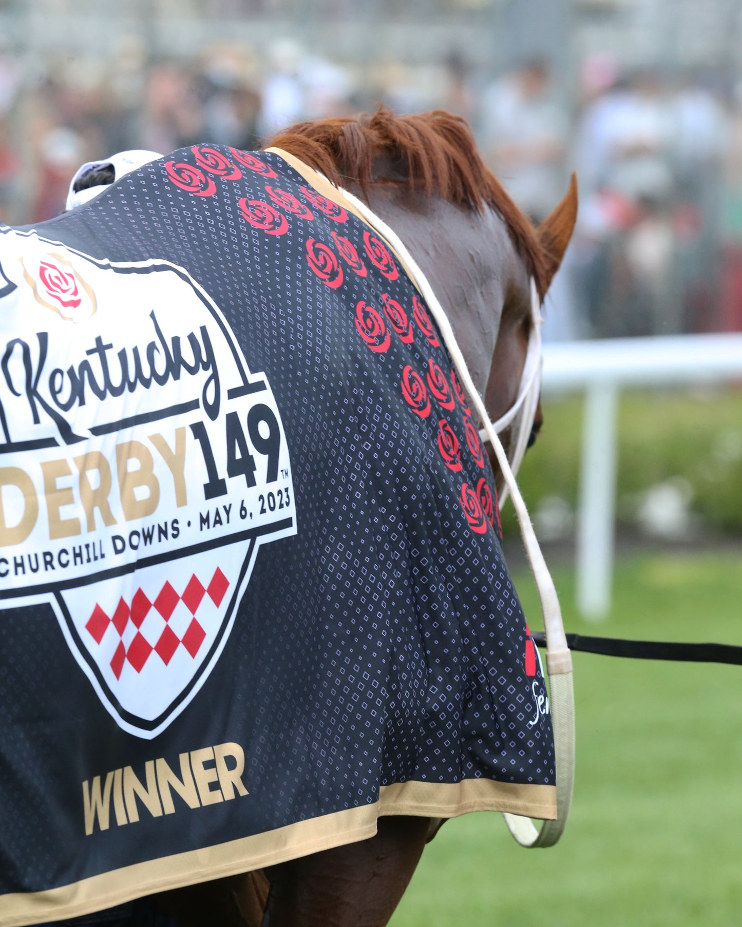 MAGE - The Kentucky Derby - 149th Running - 05-06-23 - R12 - Churchill Downs - Saddle Towel 02