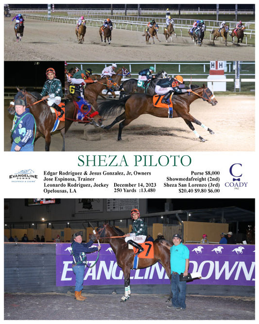 SHEZA PILOTO - 12-14-23 - R04 - EVD