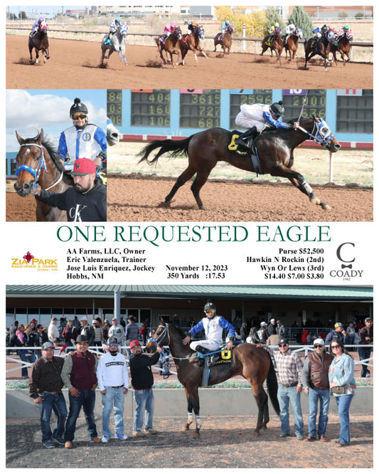 ONE REQUESTED EAGLE - 11-12-23 - R06 - ZIA