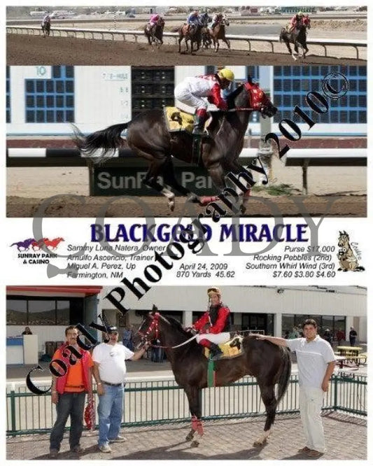 Blackgold Miracle - 4 24 2009 Sunray Park