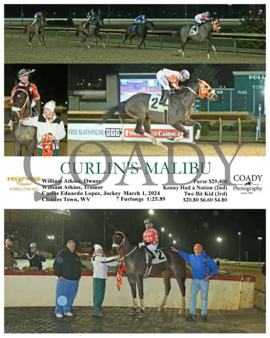 Curlin’s Malibu - 03-01-24 R07 Ct Hollywood Casino At Charles Town Races