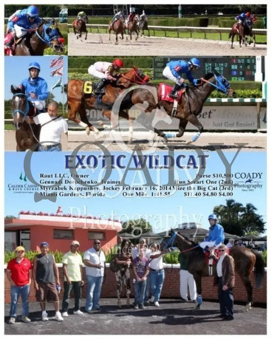 Exotic Wildcat - 021614 Race 03 Crc Calder Course