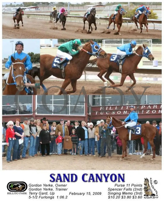 Sand Canyon - 2 15 2009 Ril Rillito Park