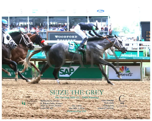 Seize The Grey - The Pat Day Mile G2 100Th Running 05-04-24 R08 Churchill Downs Action 1