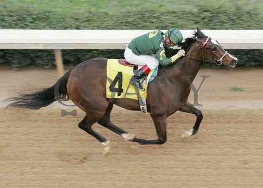She’s Our Annie - The Prima Donna Stakes Aerial Oaklawn Park