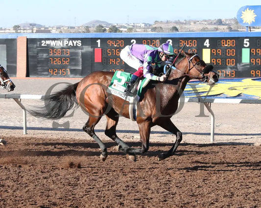 Stronghold - The 19Th Running Of Sunland Derby 02-18-24 R09 Park Finish
