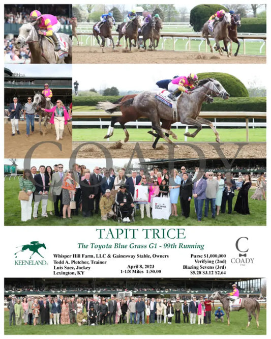 Tapit Trice - The Toyota Blue Grass G1 99Th Running 04-08-23 R09 Kee Keeneland
