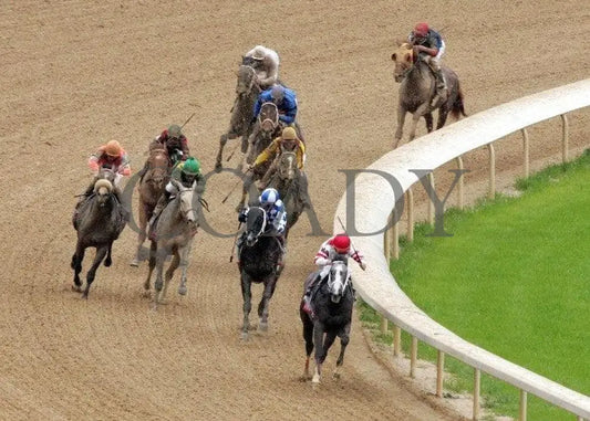 Win Willy - The Rebel Stakes Grade 2 Aerial Turn Oaklawn Park