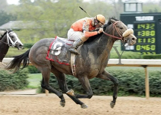 Win Willy - The Rebel Stakes Grade 2 Finish Oaklawn Park