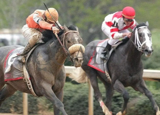 Win Willy - The Rebel Stakes Grade 2 Up Track Oaklawn Park
