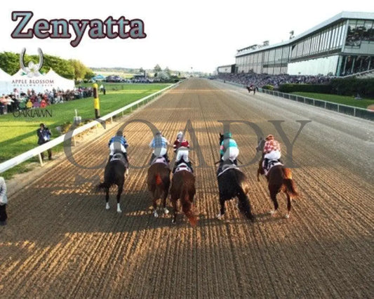Zenyatta - 2010 Apple Blossom Gate Start Champion Horses