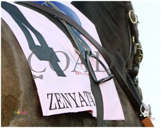 Zenyatta - 2010 Apple Blossom Saddle Champion Horses