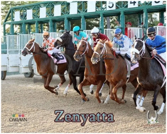 Zenyatta - 2010 Apple Blossom Start Oaklawn Park