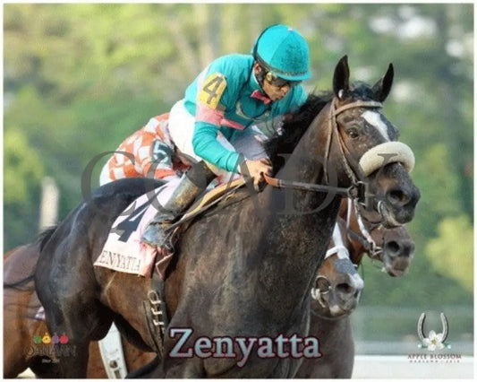 Zenyatta - 2010 Apple Blossom Tight Turn 2 Champion Horses