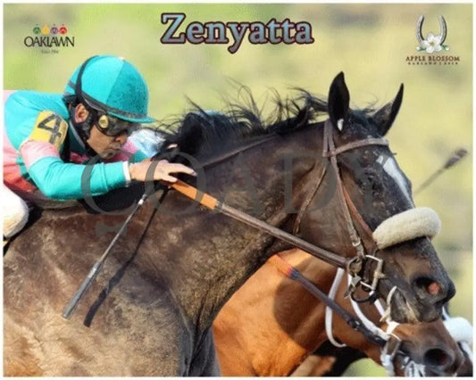 Zenyatta - 2010 Apple Blossom Tight Turn Champion Horses