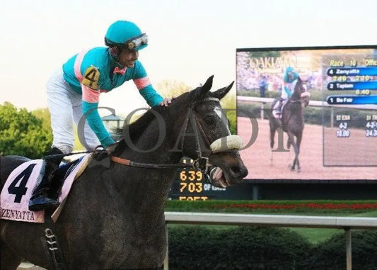Zenyatta - 2010 Apple Blossom Victory Lap Champion Horses