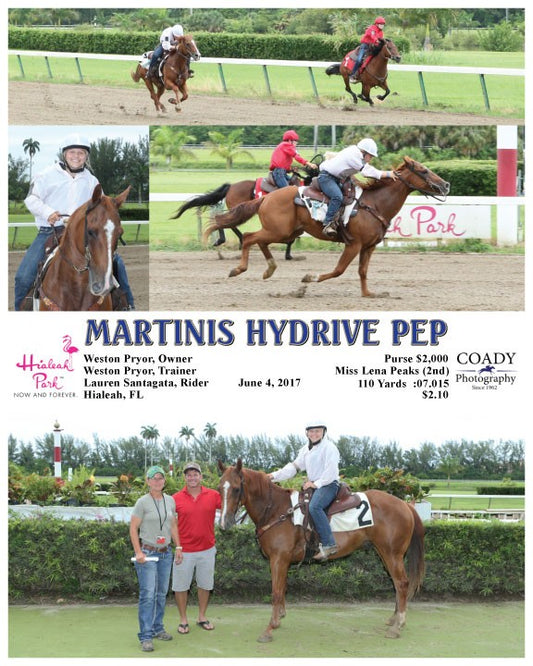 MARTINIS HYDRIVE PEP - 060417 - Race 16 - HIA