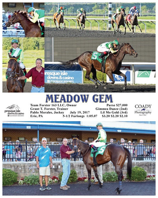 MEADOW GEM - 071917 - Race 04 - PID