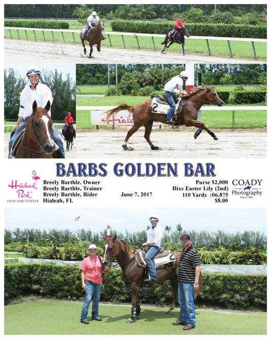 BARBS GOLDEN BAR - 060717 - Race 08 - HIA
