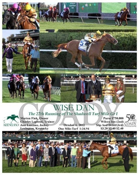 WISE DAN - 100612 - Race 09