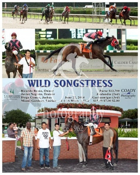 WILD SONGSTRESS - 062214 - Race 08 - CRC