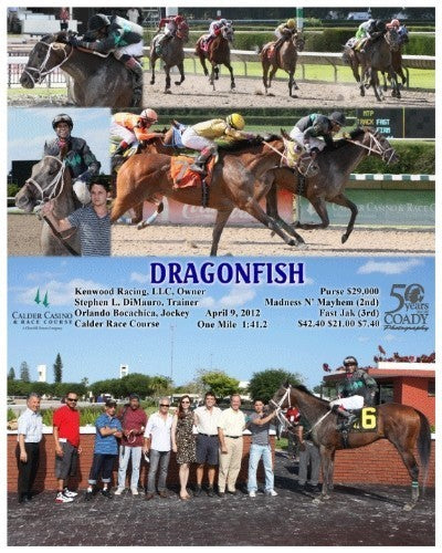 DRAGONFISH - 040912 - Race 09