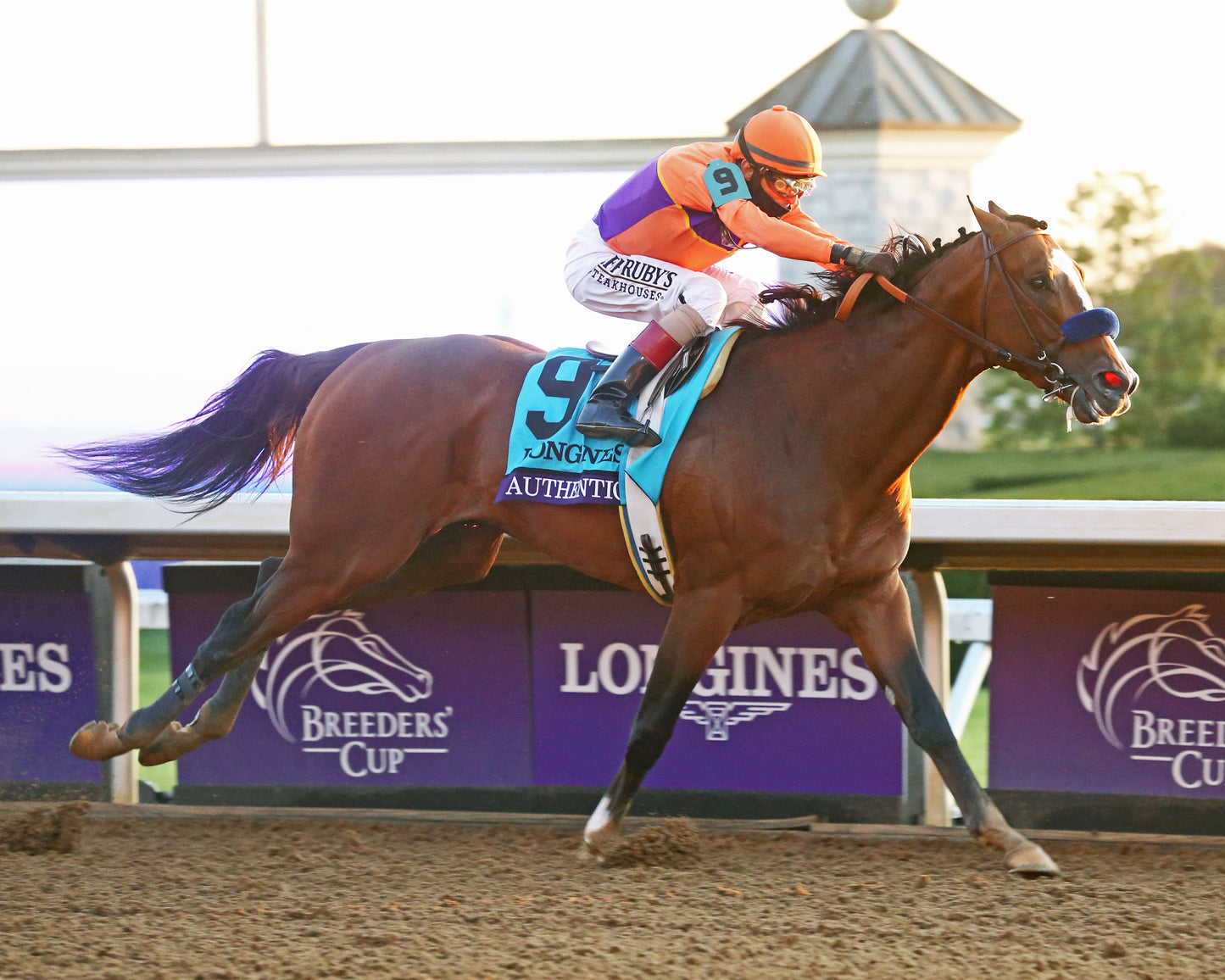 AUTHENTIC - Breeders' Cup Classic G1 - 11-07-20 - R12 - KEE - Finish 06