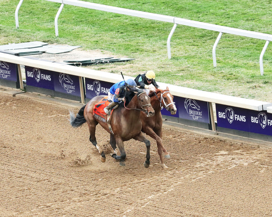 CODY'S WISH - Big Ass Fans Breeders' Cup Dirt Mile G1 - 16th Running - 11-05-22 - R05 - KEE - Aerial Finish 01