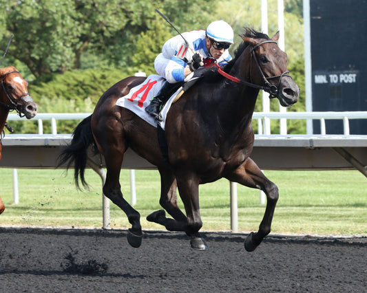 The Bruce D. Memorial Stakes - Fifth Running - 08-10-19 - R08 - AP - Finish 02