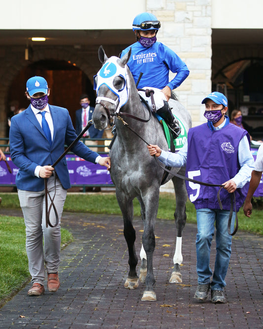 ESSENTIAL QUALITY - Breeders' Cup Juvenile G1 Presented by Thoroughbred Aftercare Alliance - 11-06-20 - R10 - KEE - Paddock 01