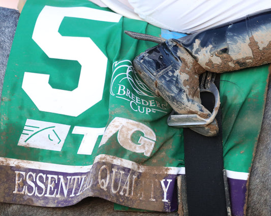 ESSENTIAL QUALITY - Breeders' Cup Juvenile G1 Presented by Thoroughbred Aftercare Alliance - 11-06-20 - R10 - KEE - Towel 01