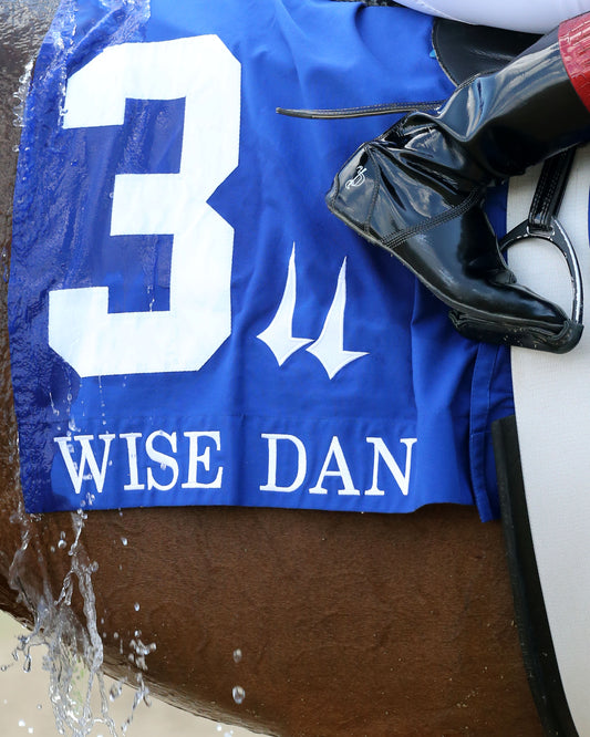 FACTOR THIS - The Wise Dan - 31st Running - 06-20-20 - R09 - CD - Post Race 04