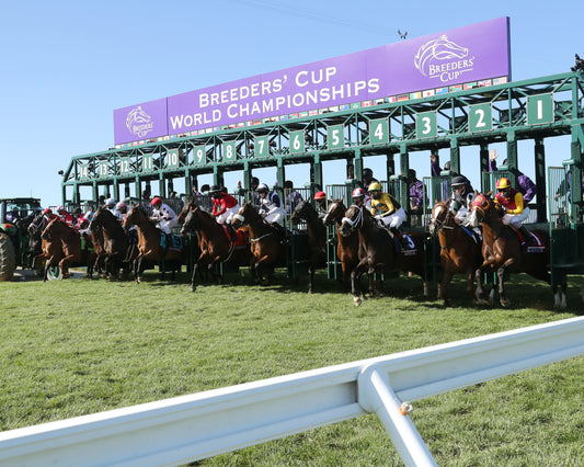 GLASS SLIPPERS - Breeders' Cup Turf Sprint G1 - 11-07-20 - R05 - KEE - Gate Start 01