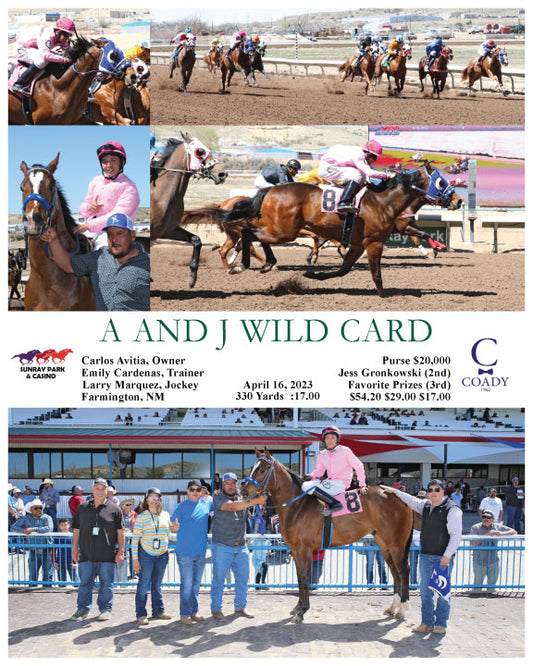 A AND J WILD CARD - 04-16-23 - R02 - SRP