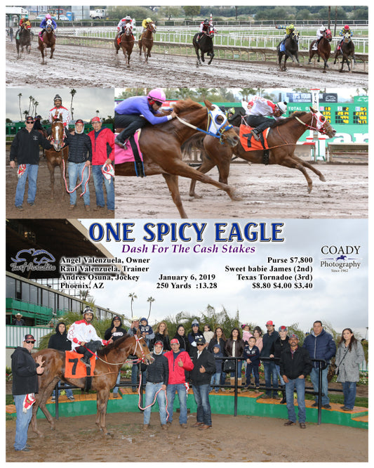 ONE SPICY EAGLE - Dash For The Cash Stakes - 01-06-19 - R02 - TUP