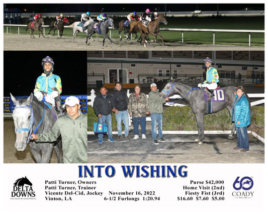 INTO WISHING - 11-16-22 - R04 - DED