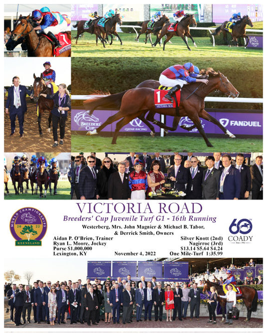 VICTORIA ROAD - Breeders' Cup Juvenile Turf G1 - 16th Running - 11-04-22 - R10 - KEE