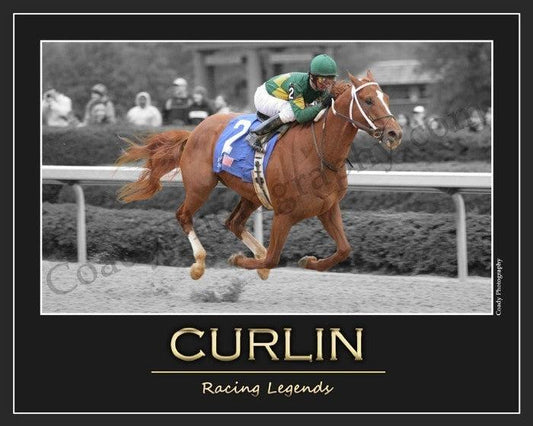 Curlin - Racing Legends Series
