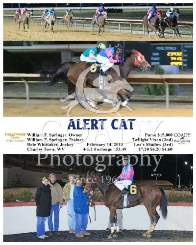 Alert Cat - 021413 - Race 05 - CT