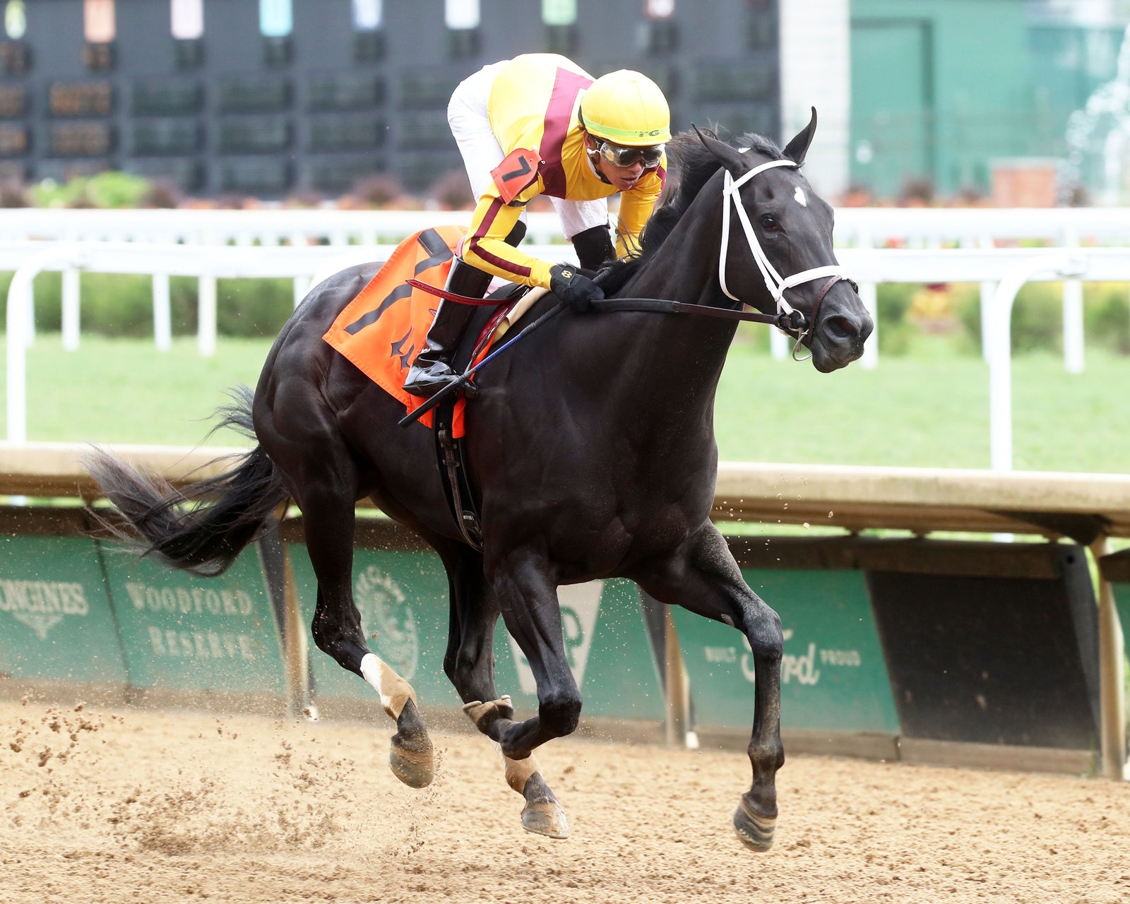 EMERY - The Leslie's Lady Overnight Stakes - 3rd Running - 06-09-24 - R04 - CD - Finish 02