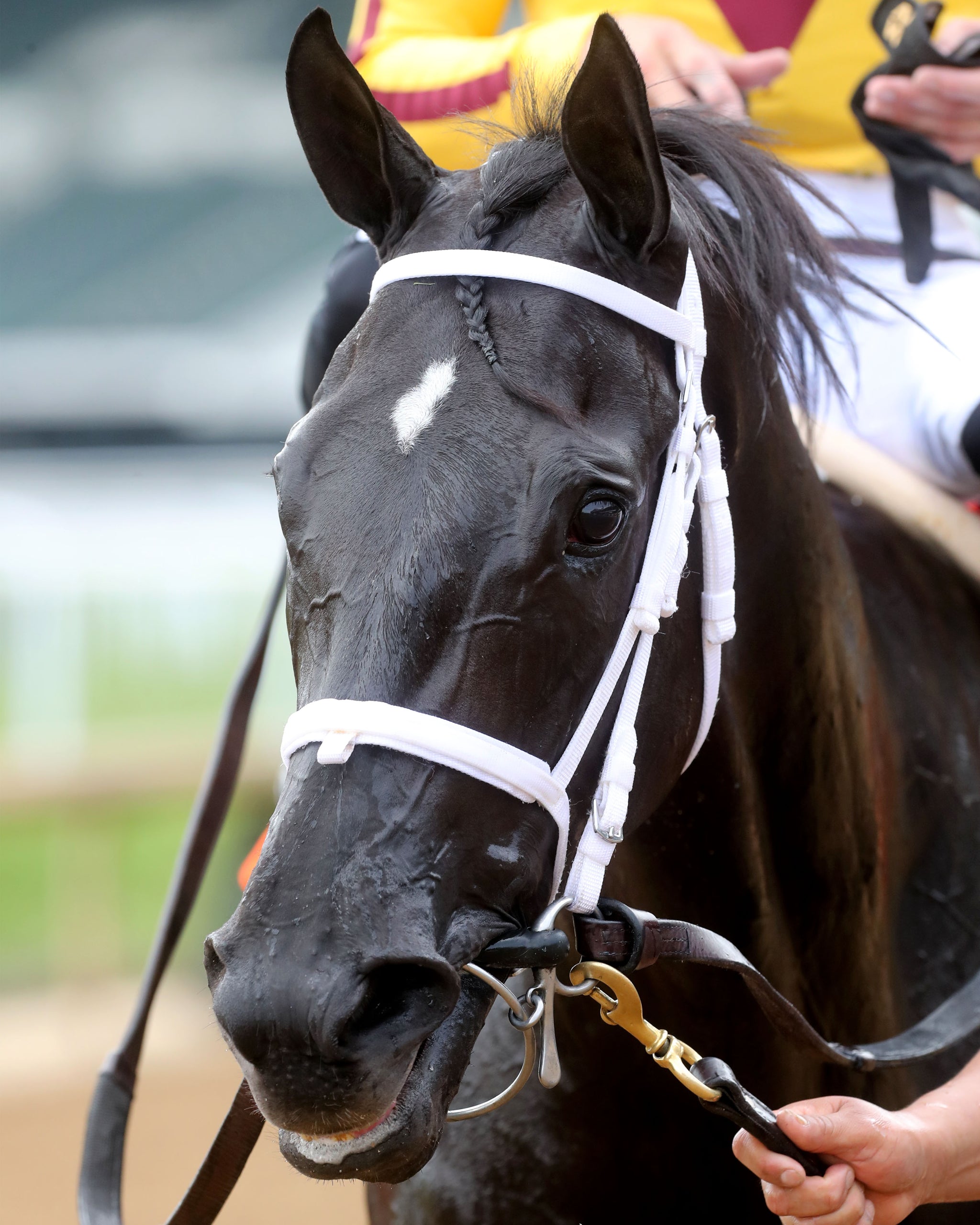 EMERY - The Leslie's Lady Overnight Stakes - 3rd Running - 06-09-24 - R04 - CD - Head Shot 01