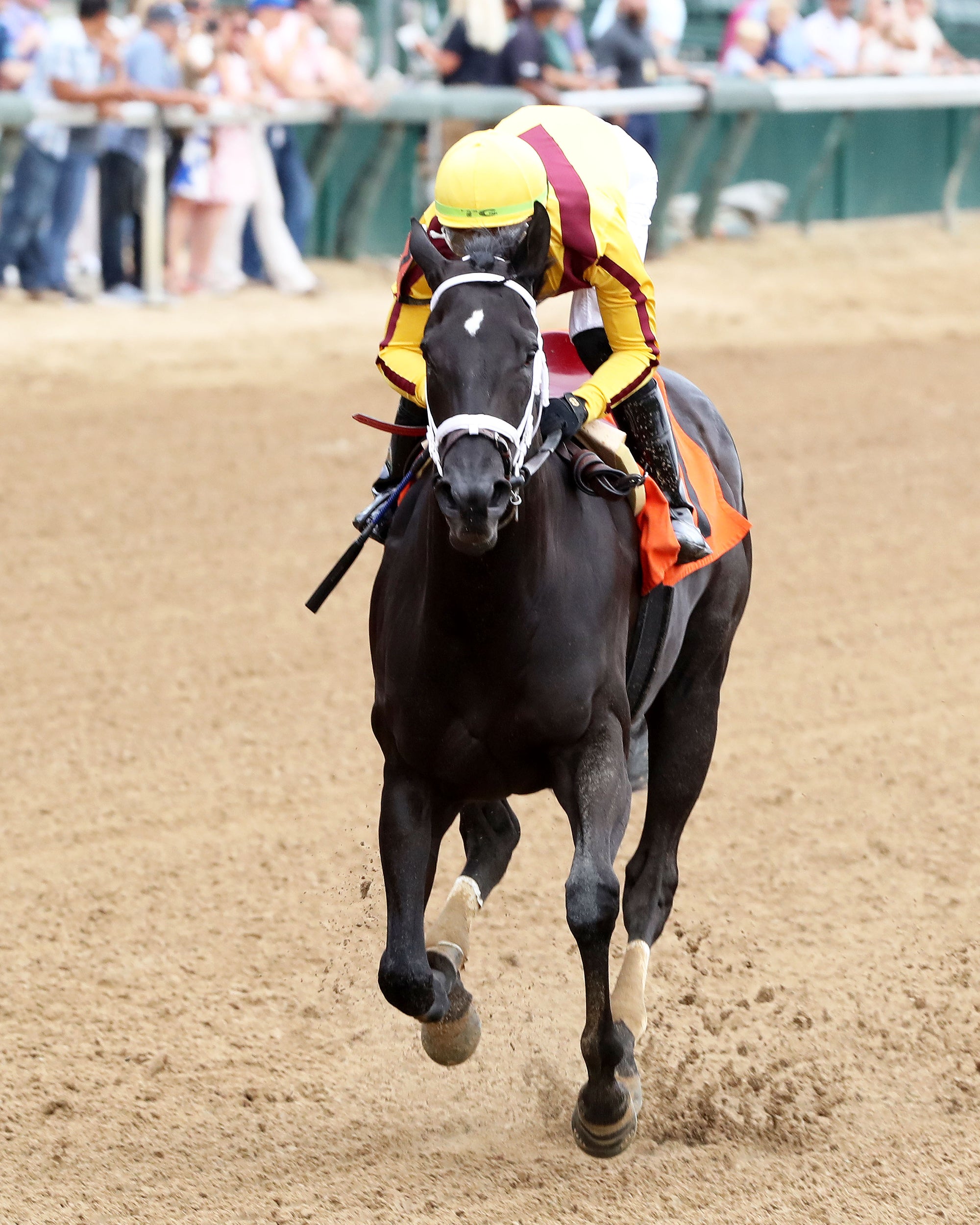 EMERY - The Leslie's Lady Overnight Stakes - 3rd Running - 06-09-24 - R04 - CD - Inside Finish 01