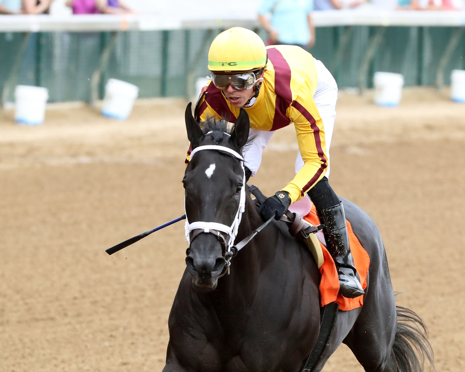 EMERY - The Leslie's Lady Overnight Stakes - 3rd Running - 06-09-24 - R04 - CD - Inside Finish 02