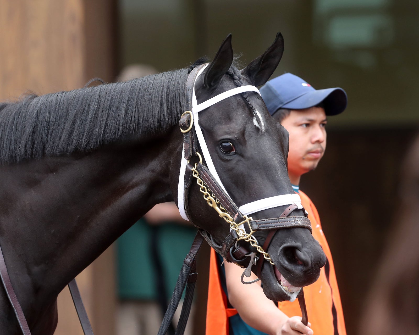 EMERY - The Leslie's Lady Overnight Stakes - 3rd Running - 06-09-24 - R04 - CD - Paddock 01