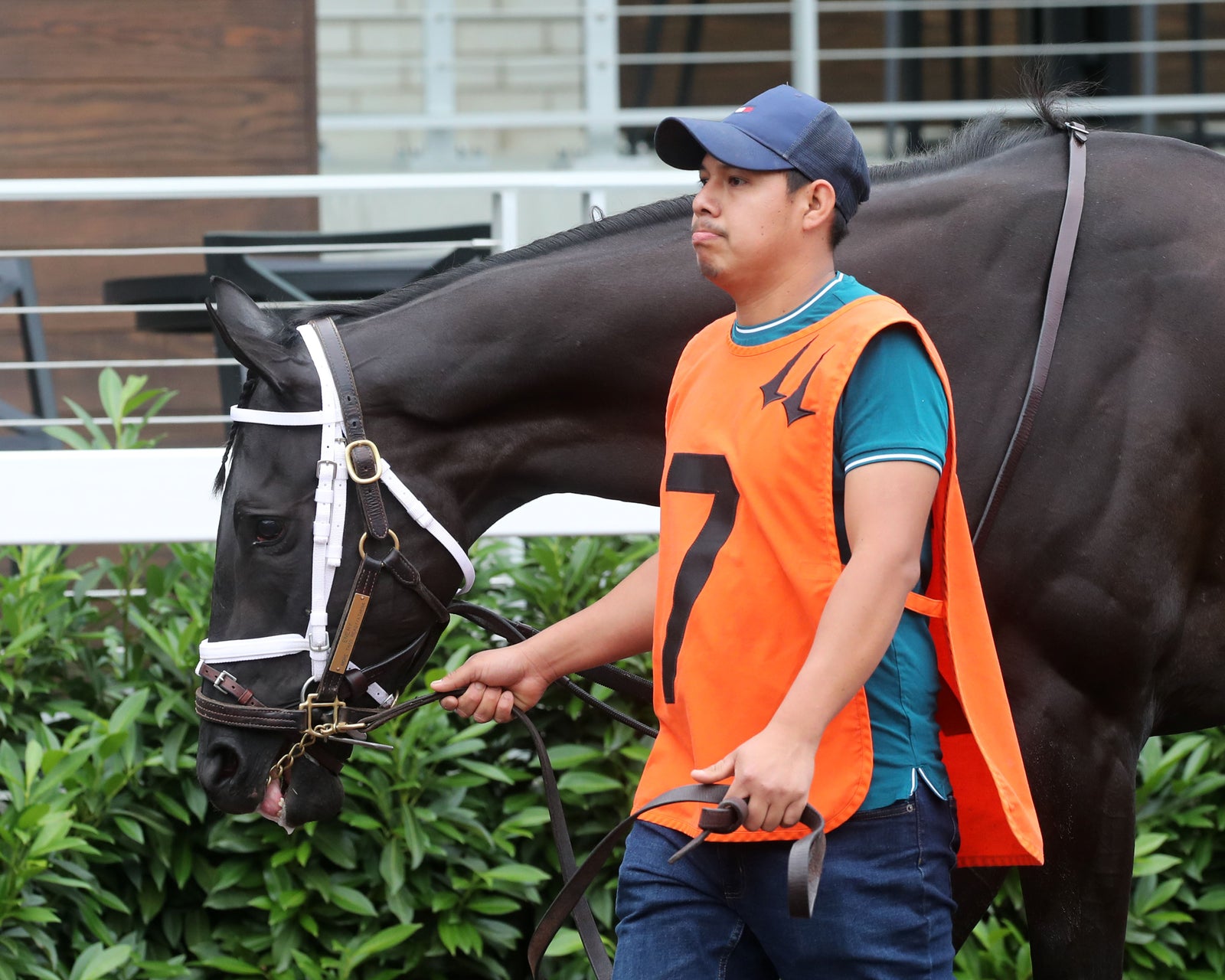 EMERY - The Leslie's Lady Overnight Stakes - 3rd Running - 06-09-24 - R04 - CD - Paddock 02