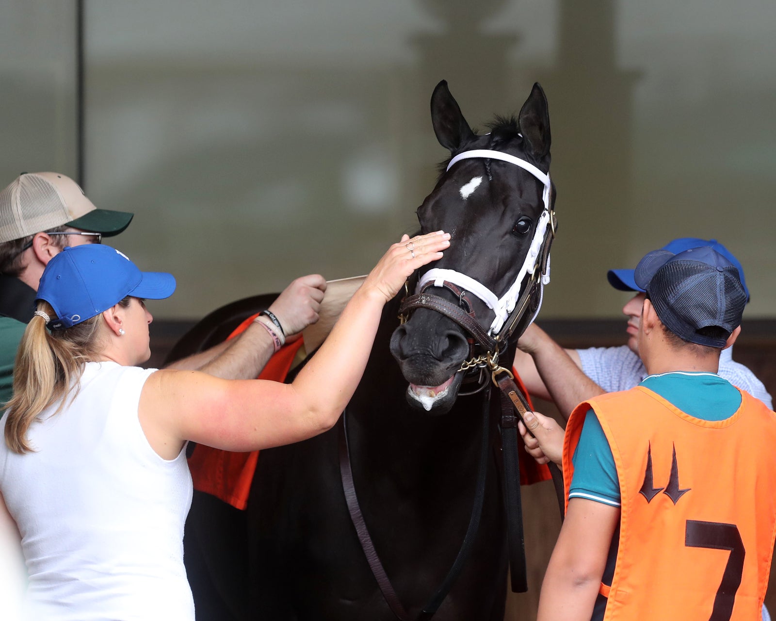 EMERY - The Leslie's Lady Overnight Stakes - 3rd Running - 06-09-24 - R04 - CD - Paddock 03