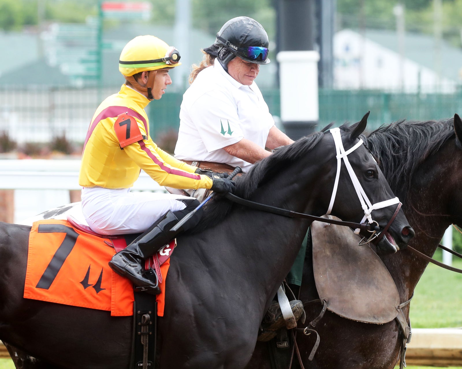 EMERY - The Leslie's Lady Overnight Stakes - 3rd Running - 06-09-24 - R04 - CD - Post Parade 01