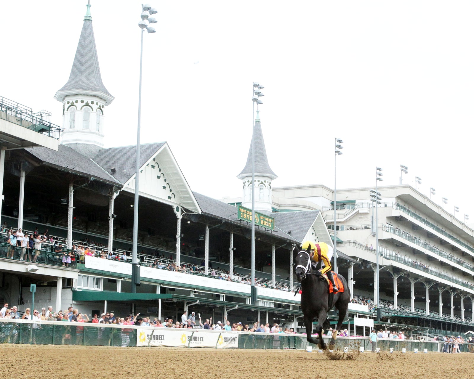 EMERY - The Leslie's Lady Overnight Stakes - 3rd Running - 06-09-24 - R04 - CD - Under Rail 01