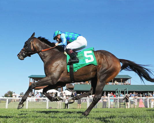 HARLAN ESTATE - The FanDuel Tapit Stakes - 9th Running - 08-31-23 - R09 - KD - Under Rail 02